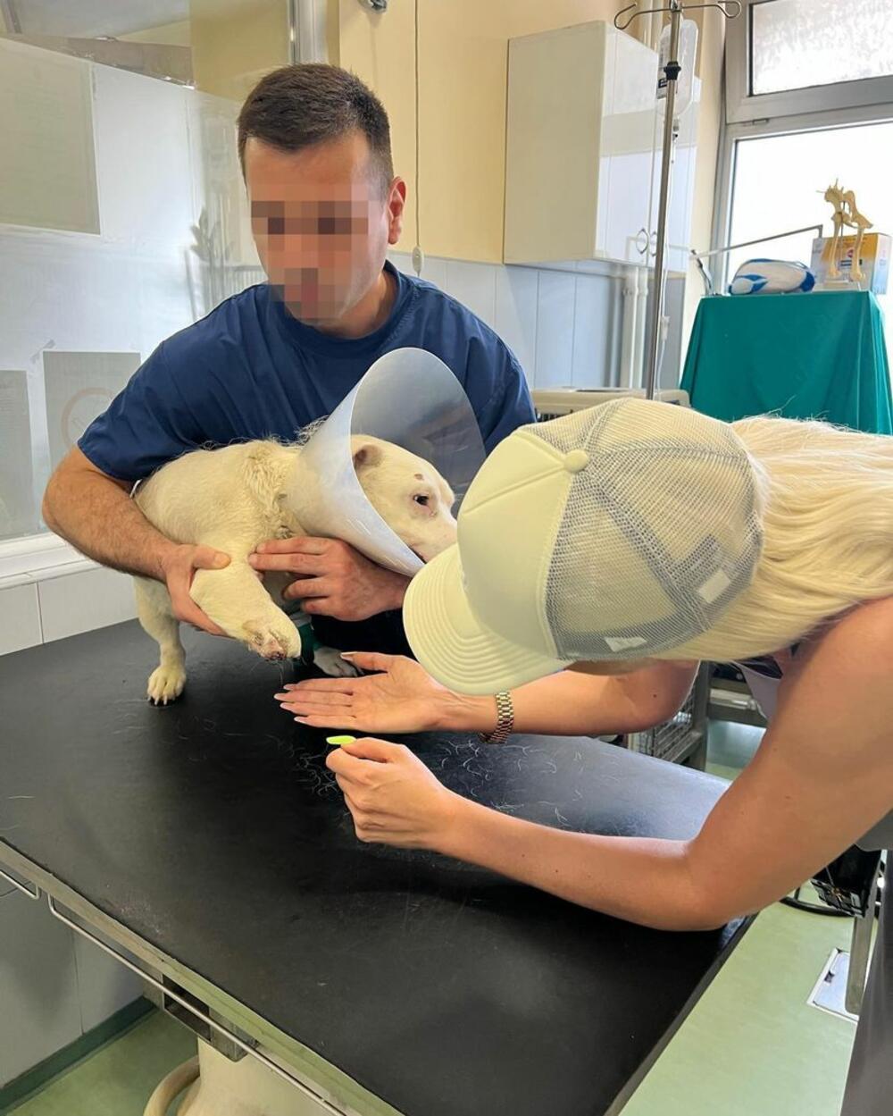 Ona je sada objavila snimak namučenog psa