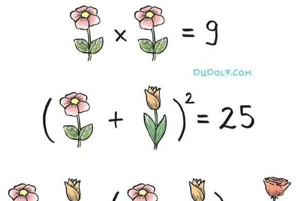 RETKO KO JE USPEO DA REŠI OVAJ ZADATAK: Imate 60 sekundi da shvatite KOLIKO VREDI svaki CVET (FOTO)