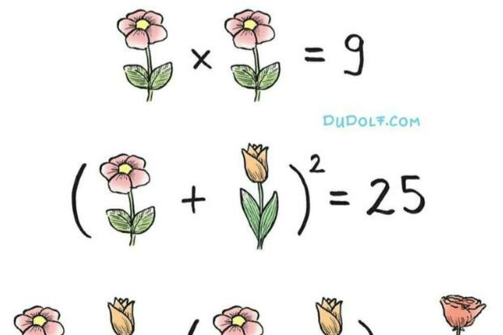 RETKO KO JE USPEO DA REŠI OVAJ ZADATAK: Imate 60 sekundi da shvatite KOLIKO VREDI svaki CVET (FOTO)