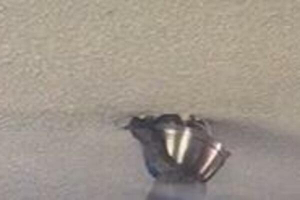 ČOVEK GLEDAO TV, A ONDA JE IZ PLAFONA KRENULA DA IZLAZI OPASNA ZVER: Čim je pala na ZEMLJU desilo se... (VIDEO)