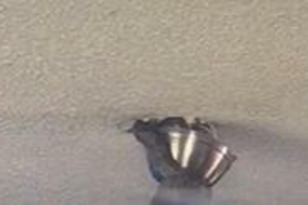 ČOVEK GLEDAO TV, A ONDA JE IZ PLAFONA KRENULA DA IZLAZI OPASNA ZVER: Čim je pala na ZEMLJU desilo se... (VIDEO)