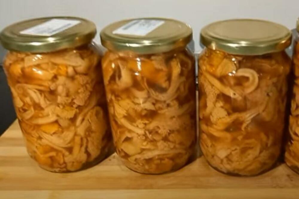 SRBI TRENUTNO NAJVIŠE TRAŽE RECEPTE SA LISIČARKAMA: Evo jednog BRZOG RECEPTA posle kog ćete ih JESTI DO ZIME