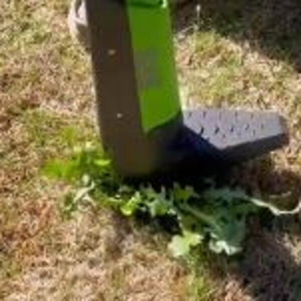 OVAJ ALAT VADI KOROV ZA TRI SEKUNDE: Srbi ga NIKAD nisu videli, a pravi čudo NEVIĐENO