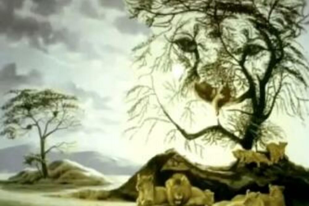 JEZIVO PRECIZAN TEST LIČNOSTI: Ono što prvo ugledate govori o vašem KARAKTERU - nepogrešivo je