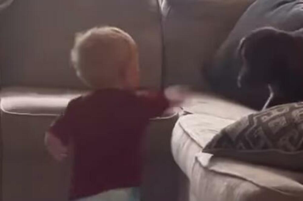 BEBA NASRNULA NA ŠTENE, A ONDA JOJ JE ONO UZVRATILO BRUTALNO: Hvataćete se za glavu posle ovog SNIMKA, JEZIVO JE