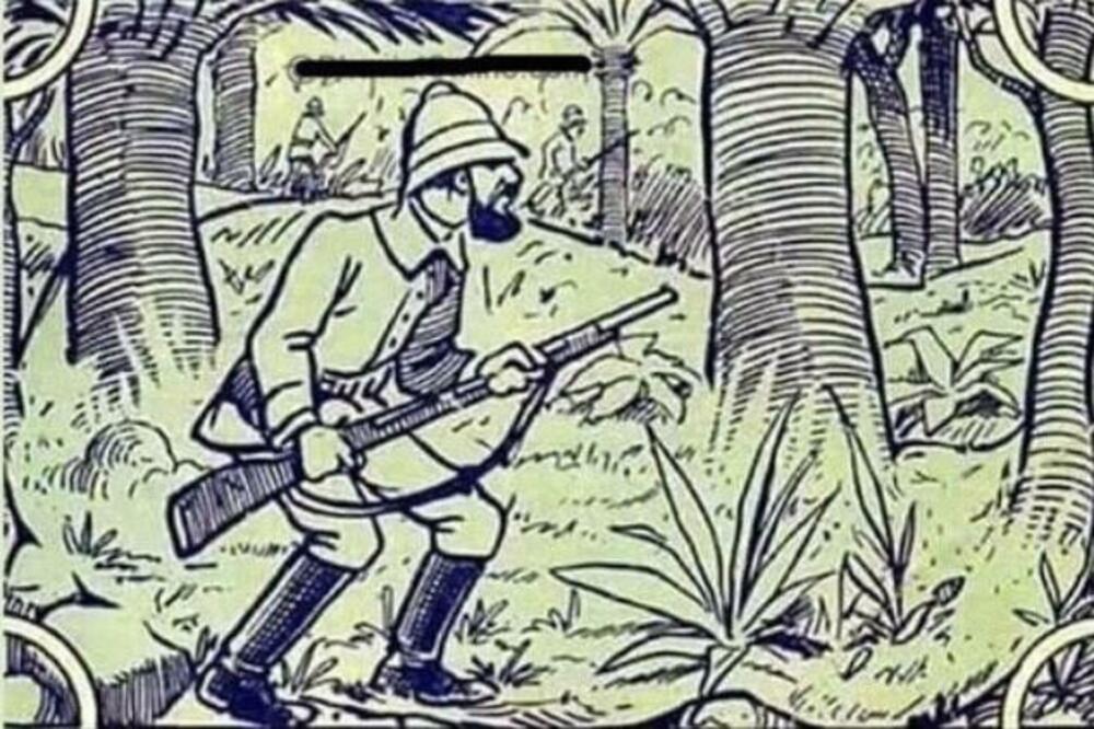 NAJTEŽA SKRIVALICA DO SADA, SAMO GENIJE MOŽE DA PRONAĐE SKRIVENOG SLONA NA SLICI: Da li će vama poći za rukom?