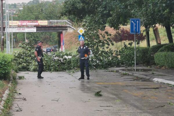 TRAGEDIJA IZBEGNUTA ZA DLAKU: Drvo u Novom Pazaru PALO na PARKIRAN AUTOMOBIL! (FOTO)