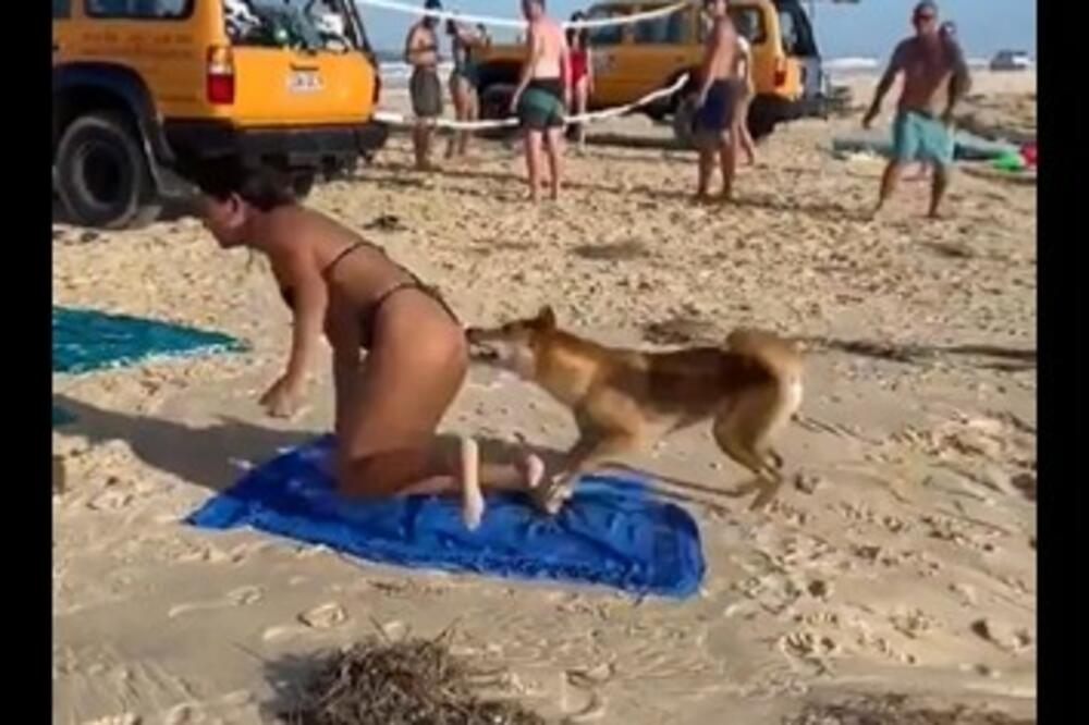 GRICNUO JE TAMO GDE JE NAJSOČNIJE: Urnebesna scena sa plaže obišla je bukvalno ceo svet (VIDEO)
