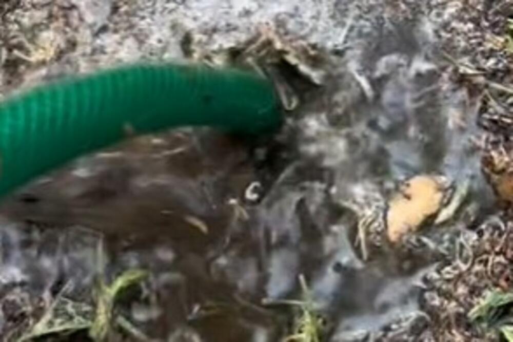 GURNUO CREVO U ZEMLJU, A ONDA JE VODA POČELA DA ŠIKLJA: Kada je video ovo STVORENJE, počeo je da BEŽI U PANICI