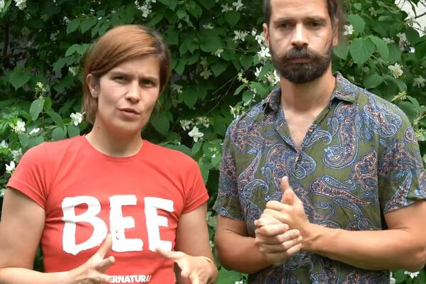 ANA I STRAHINJA OD KRNTIJE STARE 40 GODINA NAPRAVILI DOM: Imaju BLIZANCE, pogledajte samo gde su se SKUĆILI (FOTO)