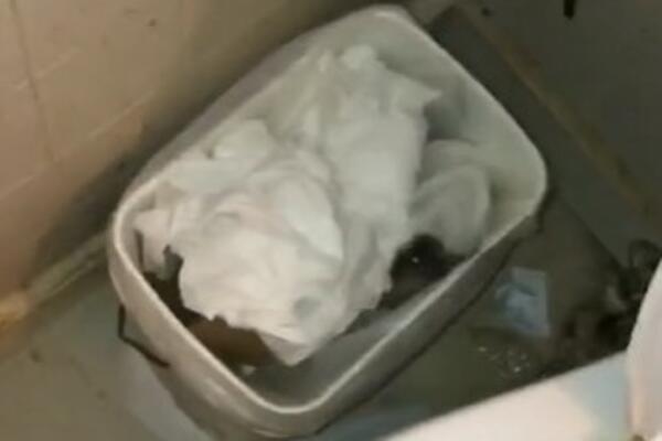 OTIŠLI SU U KUPATILO JER SU ČULI ZVUK IZ KANTE: Čim su je POMERILI izleteo je PACOV, a onda je krenula ŽURKA