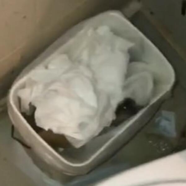 OTIŠLI SU U KUPATILO JER SU ČULI ZVUK IZ KANTE: Čim su je POMERILI izleteo je PACOV, a onda je krenula ŽURKA