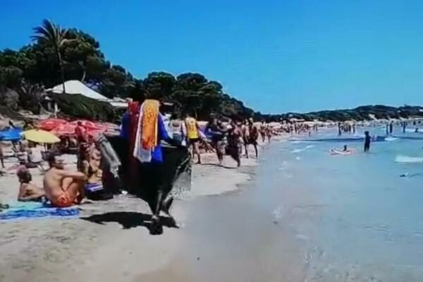 SRPKINJA SNIMALA KAKO JE NA IBICI, A ONDA JE USLEDIO NEVEROVATAN OBRT: Ljudi se valjaju od smeha ovom BLAMU (VIDEO)