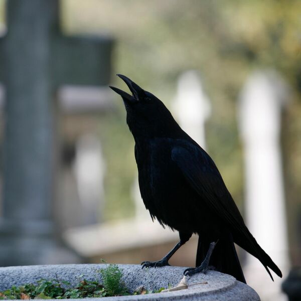 OVI BIZARNI SRPSKI OBIČAJI SE JOŠ PRAKTIKUJU NA SAHRANAMA: Za 1 ste SIGURNO čuli, ne zna se koji je MORBIDNIJI