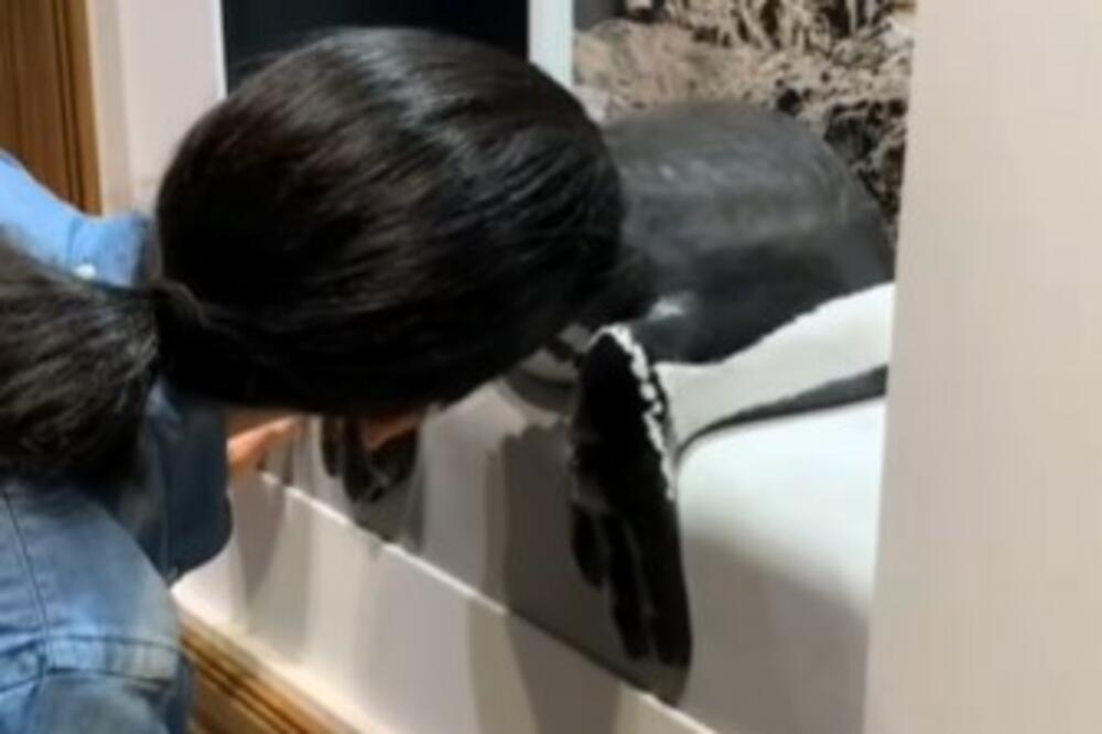 ŠTA JE, BRE OVO? U ovom akvarijumu možete uraditi NAJBIZARNIJU STVAR za koju ste čuli, pogledajte sami... (VIDEO)