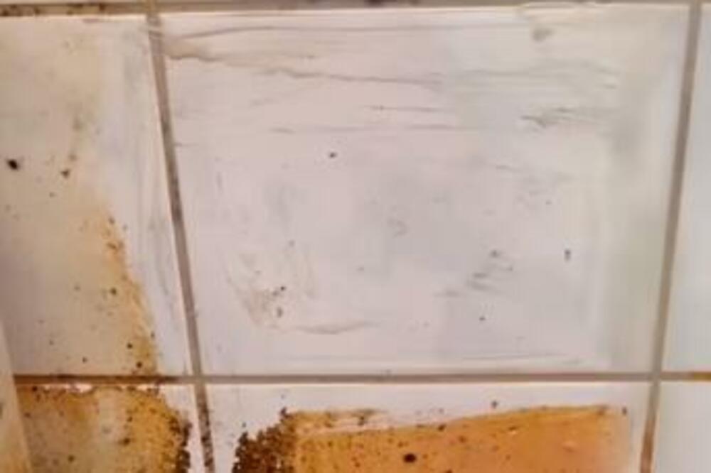 SVEKRVA JOJ OTKRILA NAJBIZARNIJU METODU ČIŠĆENJA KUPATILA: Niste ni svesni kakve GADOSTI skida ovaj MUŠKI PROIZVOD