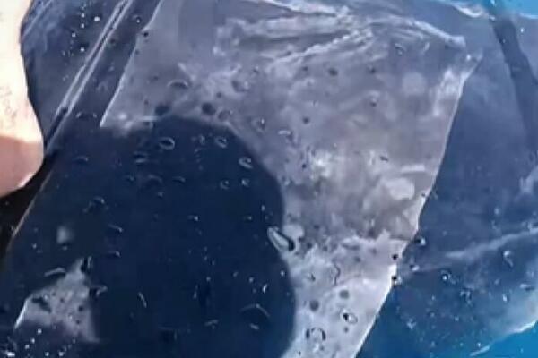 VESLAO JE PROVIDNI KAJAK NASRED OKEANA, A ONDA SE ZAČUO KRIK I MUK: Ono što je usledilo LEDI KRV U ŽILAMA (VIDEO)