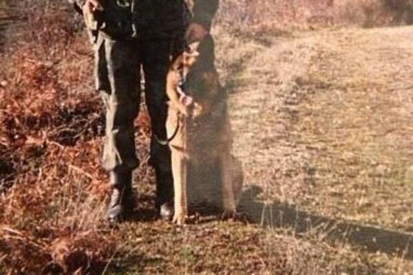 OVAJ PAS JE MESECIMA ČUVAO SRPSKU VOJSKU: Nosio je VRLO MOĆAN NAZIV, njegova smrt je bila TRAGIČNA (FOTO)