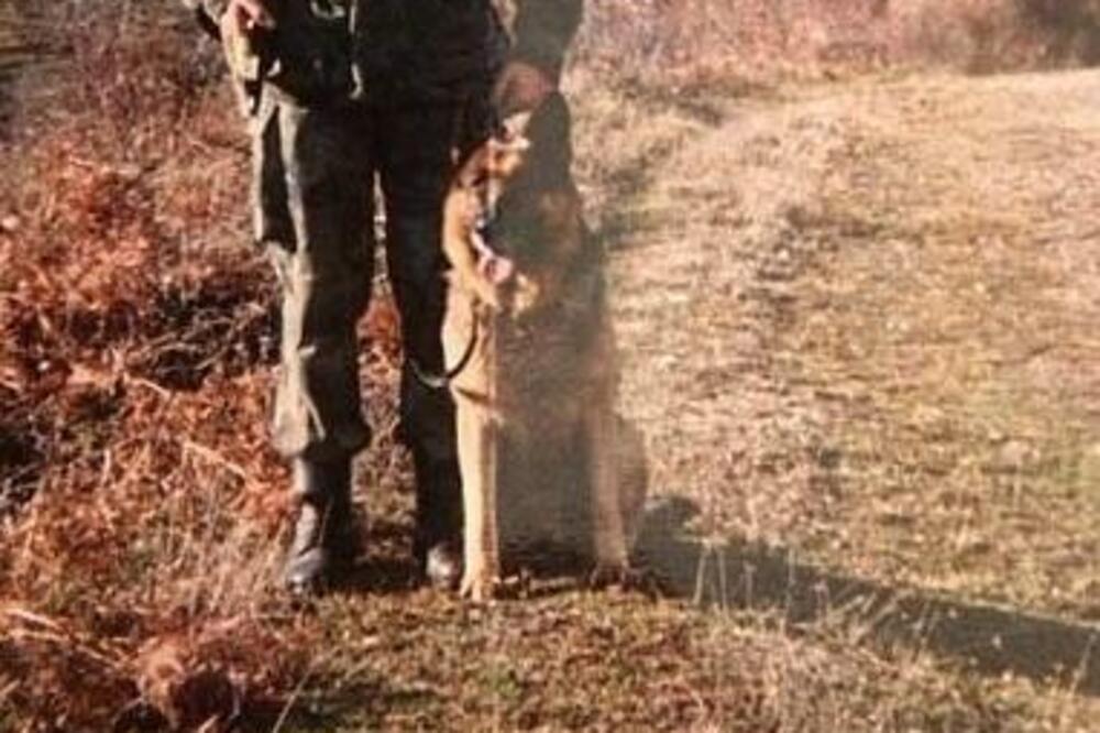 OVAJ PAS JE MESECIMA ČUVAO SRPSKU VOJSKU: Nosio je VRLO MOĆAN NAZIV, njegova smrt je bila TRAGIČNA (FOTO)