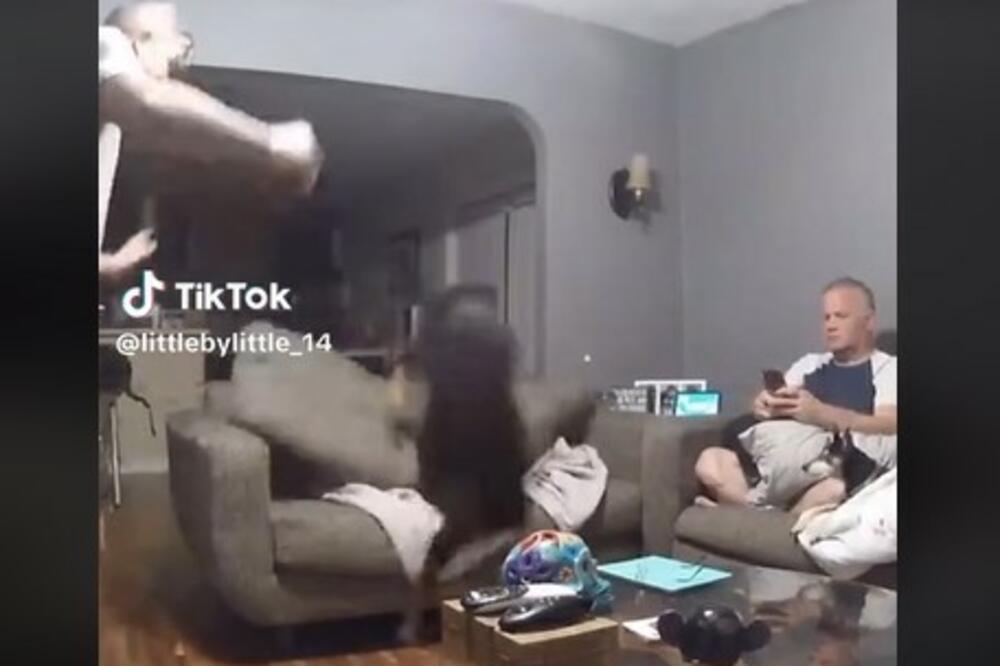 PAS JE TRČAO PO CELOM STANU, A ONDA JE NASTAO MUK: Vlasnik ostao zakucan u MESTU kada je video šta je URADIO VIDEO