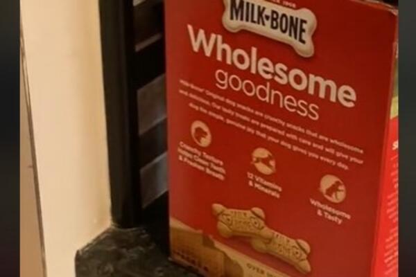 SIŠLA JE U KUHINJU, A ONDA VIDELA DA SE NEŠTO MRDA U KUTIJI: Krenula je prema RADNOM STOLU, a tek šta je USLEDILO