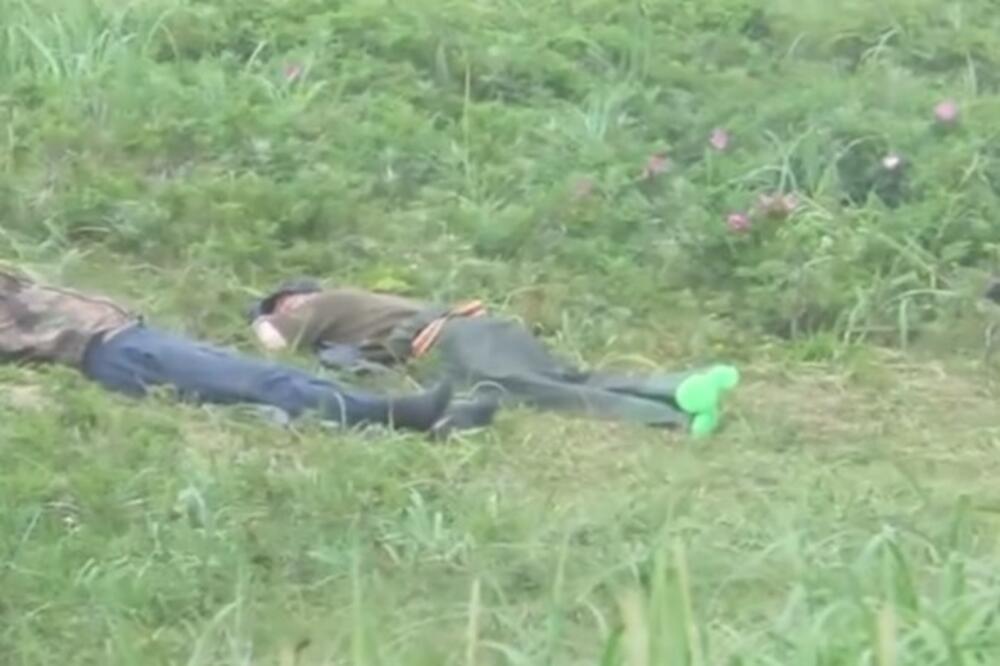 SPAVAO NA TRAVI, PA OSETIO DA MU NEŠTO NJUŠI ČARAPE: Istog momenta je SKOČIO, pogledajte šta je U PITANJU (VIDEO)