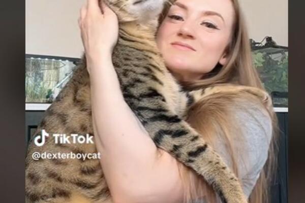 LAURA IMA OGROMNOG MAČORA KOJEG SE PLAŠE I VETERINARI: Kada vidite šta jede DRŽAĆETE SE ZA GLAVU (VIDEO)