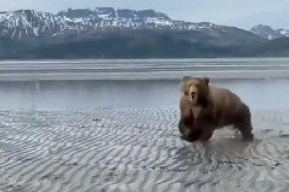 SLIKAO JEZERO, ONDA SE OGROMAN MEDVED ZALETEO PRAVO NA NJEGA I JAKO RIKAO: Usledilo je ono što NIKO NE BI ZAMISLIO