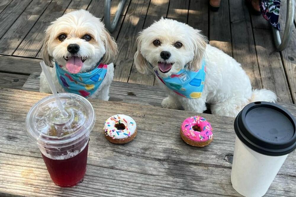 OGI I PAFIN SE SRELI POSLE 5 GODINA RAZDVOJENOSTI: Putevi im se MIMOIŠLI, a OVAKO su se ponovo SPOJILI! (FOTO)