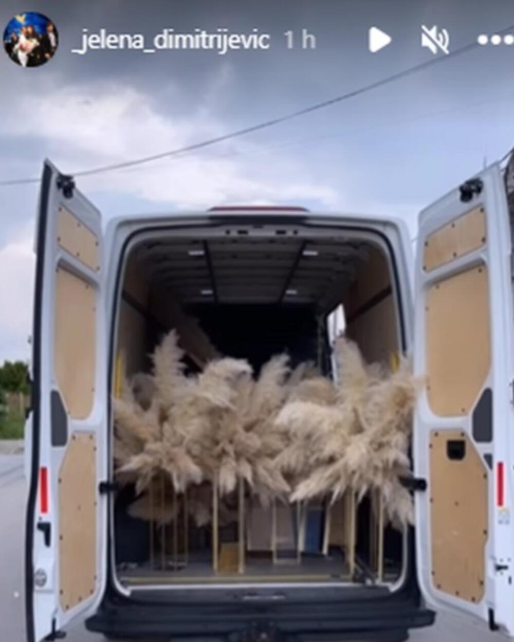 Pokazala kako teku pripreme za njen rođendan.