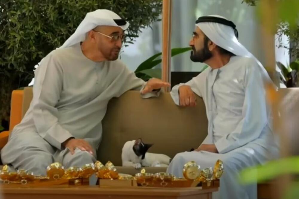 OVO SU VLADARI DUBAIJA, JEDNA OD NAJBOGATIJIH PORODICA NA SVETU: Ovakav LUKSUZ niste ni SANJALI, sve PRŠTI (VIDEO)