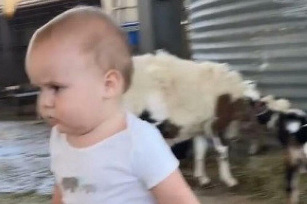 OSTAVILI SU DETE U AMBARU, A ONDA SU VIDELI ŠTA MU VREBA IZA LEĐA: Roditelji su PRETRNULI posle ove scene (VIDEO)