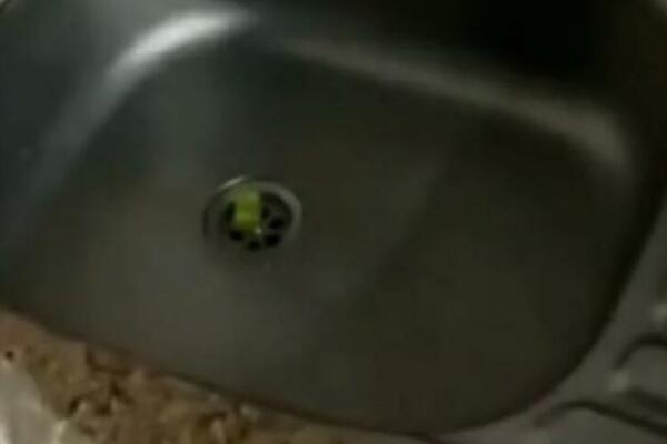 UŠLA JE U KUHINJU, A ONDA VIDELA DA NEŠTO IZLAZI IZ SUDOPERE: Prenerazila se u MOMENTU, pazite samo o ČEMU SE RADI