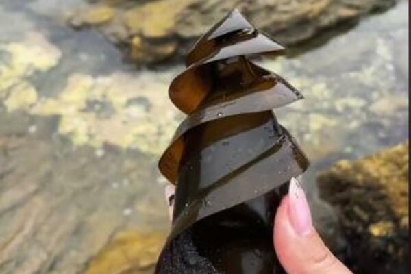 AKO OVO VIDITE NA PLAŽI, NEMOJTE ULAZITI U VODU, MAJKA JE U BLIZINI: Devojka objasnila čije je ČUDNO JAJE (VIDEO)