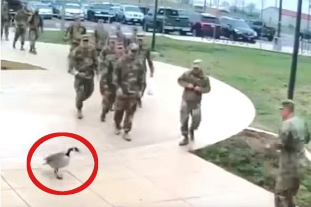 SAD SE BUSAJU U GRUDI, A SVI SU ZABORAVILI BLAMČINU AMERIČKIH VOJNIKA: Au, gledajte samo ovo (VIDEO)