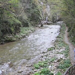 Čista voda, plaže i netaknuta priroda! Ovo je jedna od 2 najčistije reke u Srbiji! Na njoj nikad nije dosadno