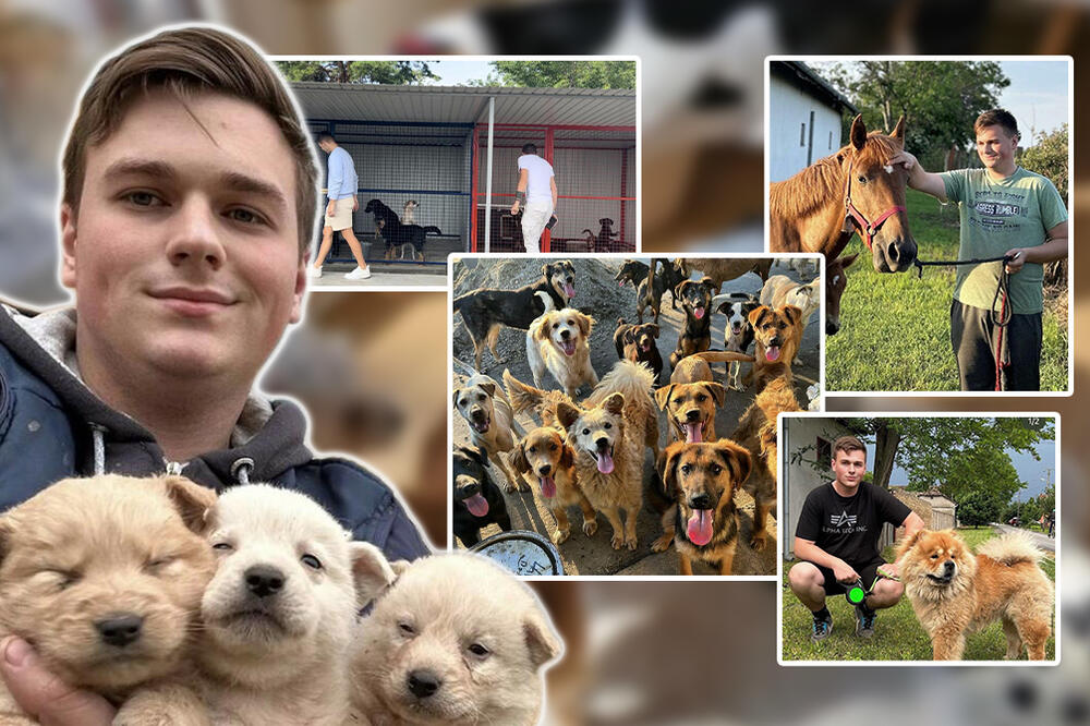 NIKOLA PODIŽE NAPUŠTENE ŠTENCE OD SVOJE OSME GODINE: Ljudi ne brinu o psima crne boje, NAJVIŠE IH JE NA ULICI