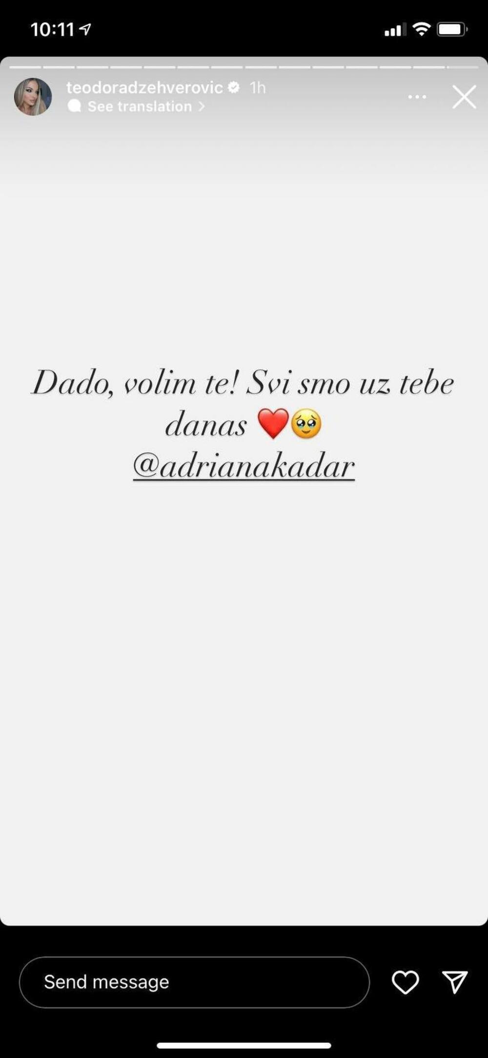 Objava Teodore Džehverović