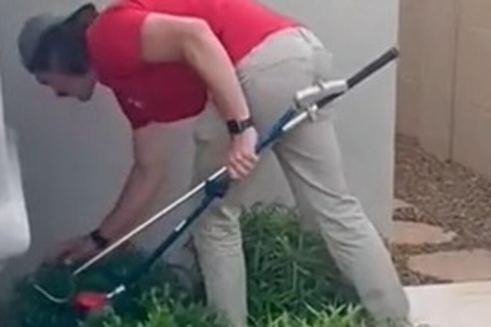 SREĐIVAO JE DVORIŠTE, PA PRIMETIO DA NEŠTO ŠETA IZA ŽBUNA: Kada se približio BLIŽE imao je ŠTA i da VIDI (VIDEO)