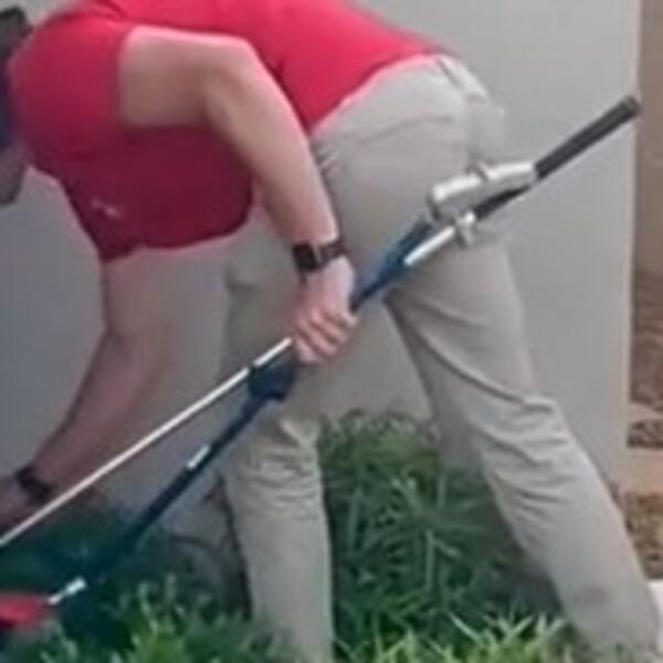 SREĐIVAO JE DVORIŠTE, PA PRIMETIO DA NEŠTO ŠETA IZA ŽBUNA: Kada se približio BLIŽE imao je ŠTA i da VIDI (VIDEO)