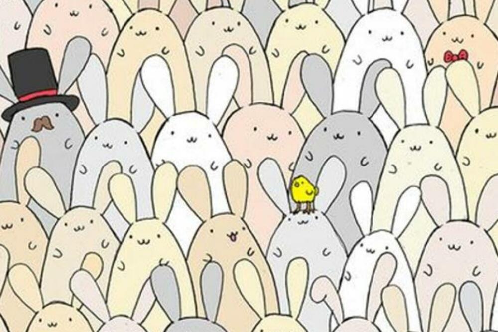 VREME JE DA PROVERITE SVOJU INTELIGENCIJU: Samo najpametniji mogu da uoče jaje na SLICI za 10 sekundi