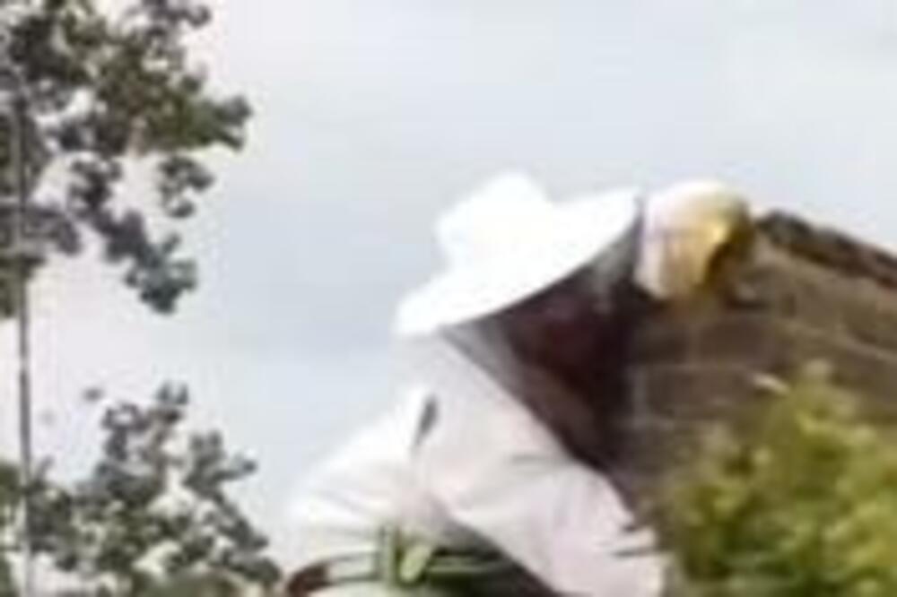 ČOVEK SE POPEO NA KROV KUĆE, PA KRENUO DA SEČE BRŠLJAN: Samo je gledao šta IZLAZI iz NJEGA, spremite se za SNIMAK