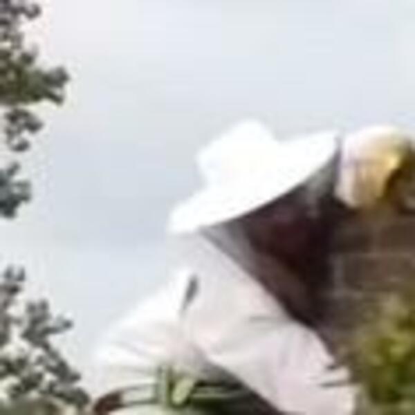 ČOVEK SE POPEO NA KROV KUĆE, PA KRENUO DA SEČE BRŠLJAN: Samo je gledao šta IZLAZI iz NJEGA, spremite se za SNIMAK