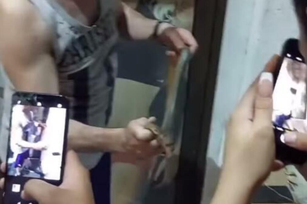 ZMIJURINA OD METAR I PO SINOĆ PRONAĐENA U CENTRU ŽARKOVA: Građani je zarobili i pozvali Zoohigijenu (VIDEO)