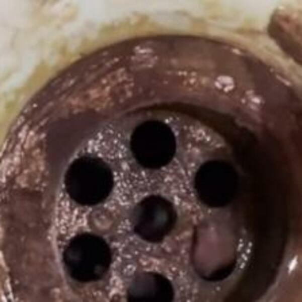 KRENUO JE SAMO DA OPERE RUKE, A ONDA JE OSTAO U ŠOKU: Ukopan je posmatrao ŠTA se mrda u LAVABOU (VIDEO)