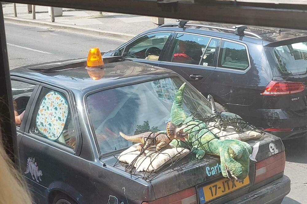 OTMICA DINOSAURUSA U BEOGRADU, ALI BUKVALNO: Urnebesan prizor na BULEVARU će vas SIGURNO NASMEJATI! (FOTO)