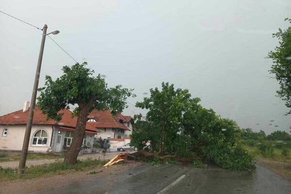 "BABU NAM VRATIO NEKI BRAŠA IZ KAČAREVA": Banaćanin objavio HIT PRIČU o SUPERĆELIJSKOJ oluji u Srbiji!