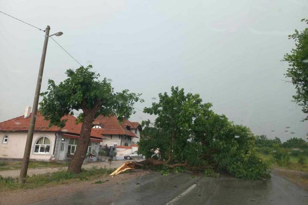 "BABU NAM VRATIO NEKI BRAŠA IZ KAČAREVA": Banaćanin objavio HIT PRIČU o SUPERĆELIJSKOJ oluji u Srbiji!