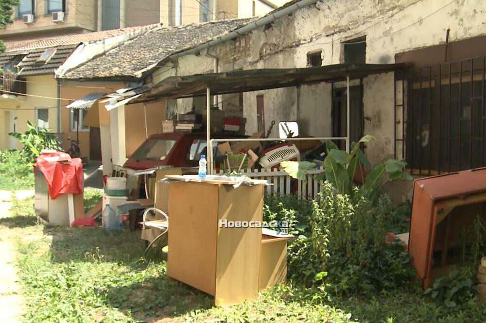 BAKA MILKA IPAK NEĆE OSTATI NA ULICI! Grad Novi Sad će naći rešenje, pomažu i komšije velikog srca