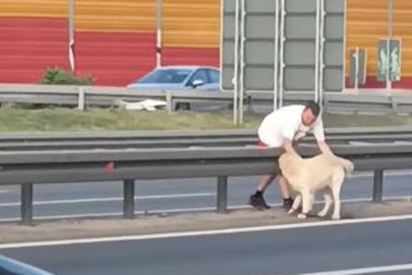 "OVO JE ČIST IDIOTIZAM": Snimak sa Mostarske petlje RAZBESNEO NAROD, pogledajte šta čovek radi i to sa PSOM (VIDEO)